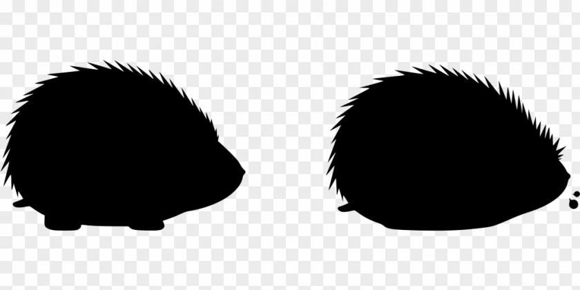 Hedgehog Silhouette Svg Image PNG