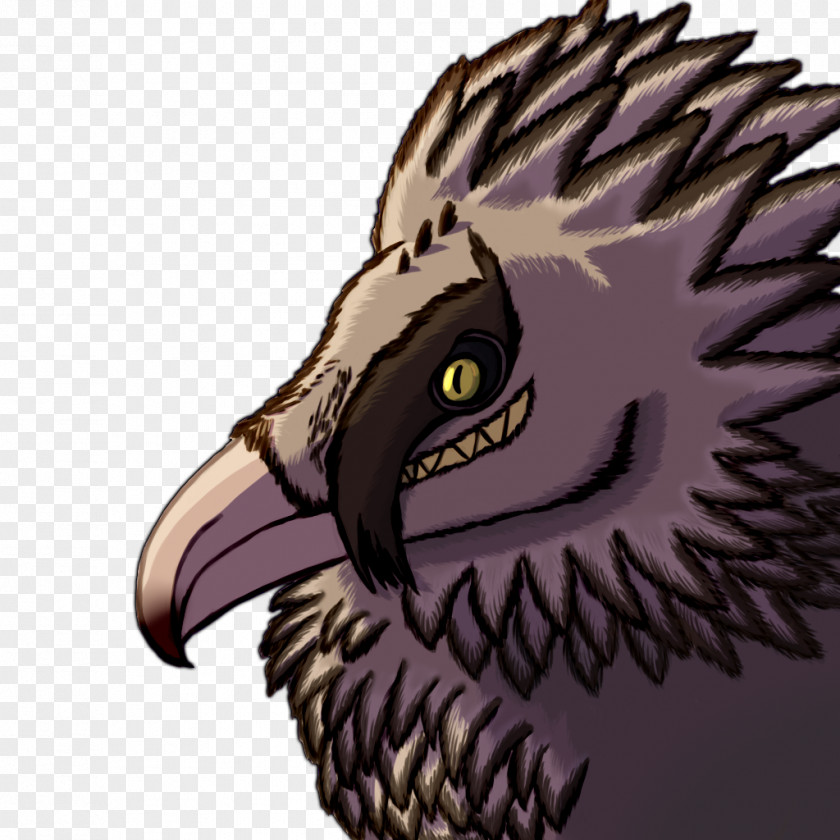 Bearded Dragon Bird Of Prey Bald Eagle Owl Vertebrate PNG