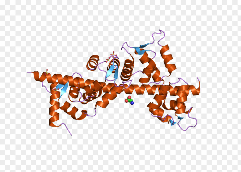 CALM3 CALM2 MYO5A Protein Calmodulin 1 PNG
