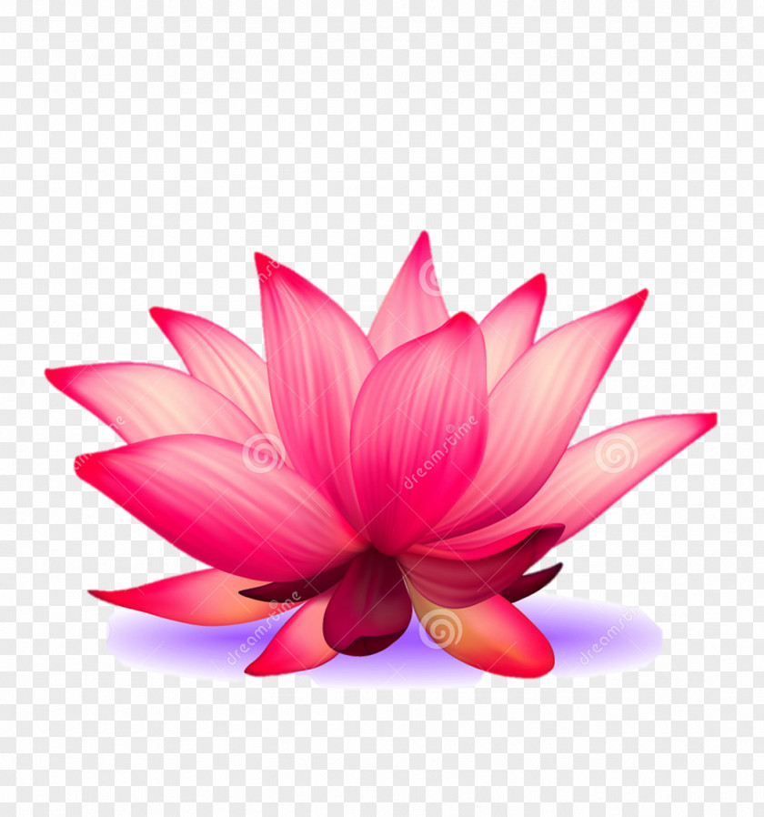 Flower Drawing Clip Art PNG