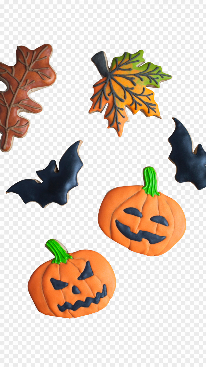 Halloween Pumpkin Calabaza Clip Art PNG