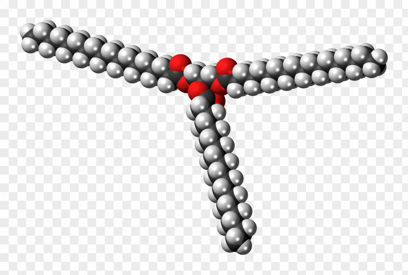 Molecule Triglyceride Stearin Glycerol Chemistry Stearic Acid PNG