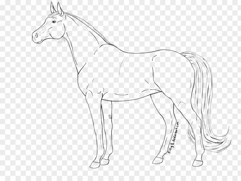 Mustang Mare Foal Stallion Arabian Horse PNG