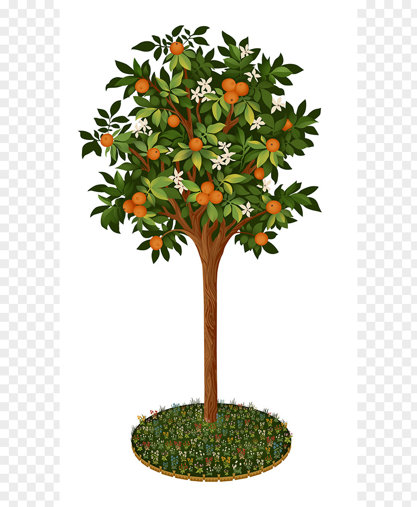 Graphic Tree Images Design Clip Art PNG