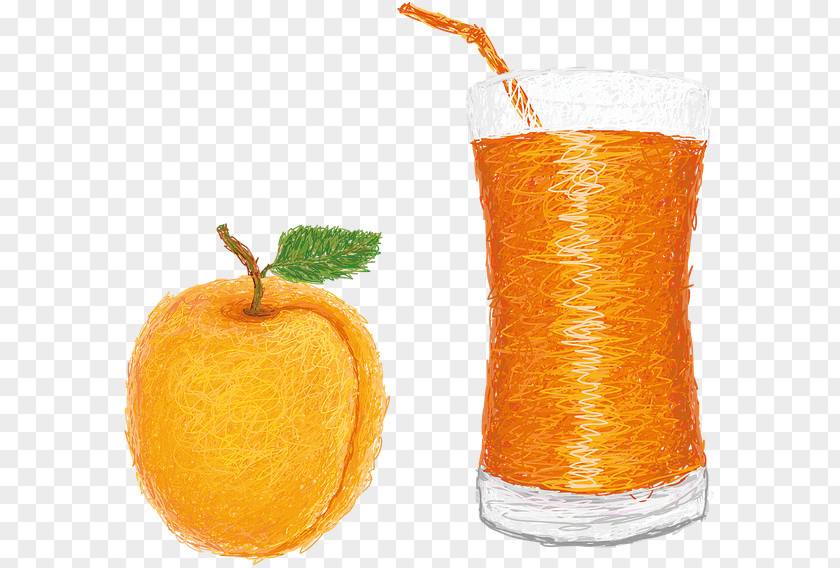Juice Orange Drink Fizzy Drinks Soft PNG