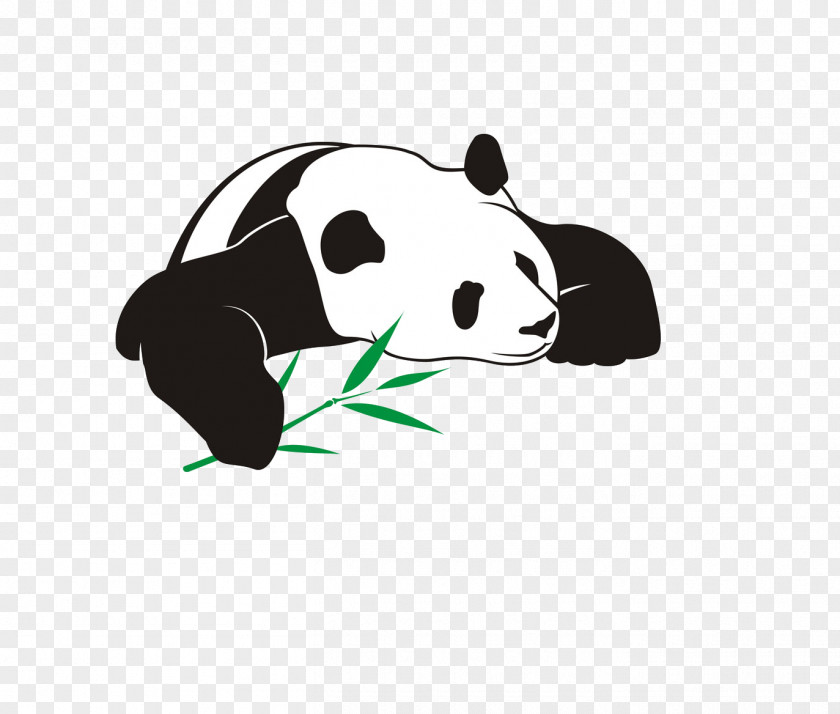 Panda Eating Bamboo Giant Bear Illustration PNG