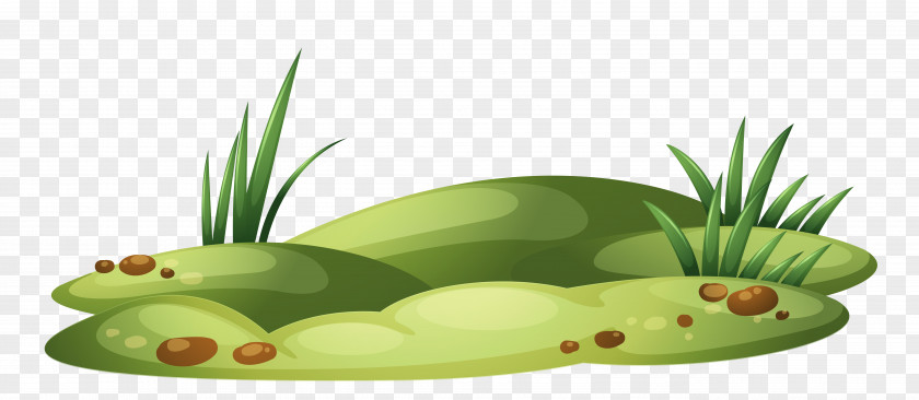 Patch With Grass Transparent Clipart Clip Art PNG