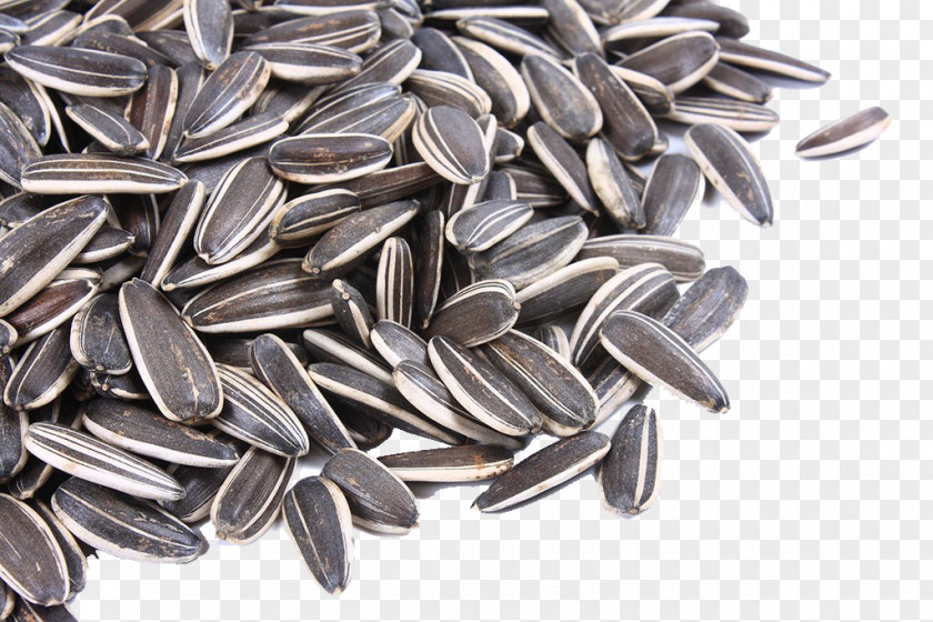 Sunflower Seeds Nut Common Seed Snack PNG