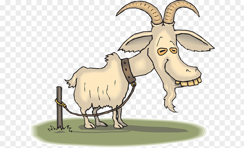 TIRED Boer Goat Sheep Cartoon Farming PNG