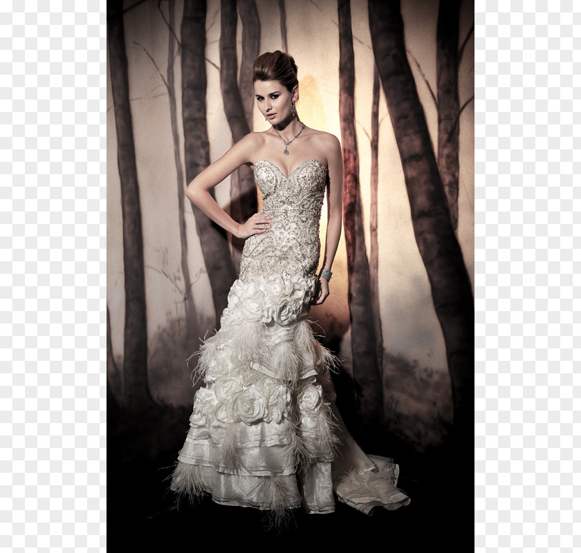 Wedding Collection Dress Cocktail Shoulder Party PNG
