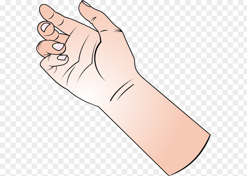 Hand Thumb Model Glove Clip Art PNG