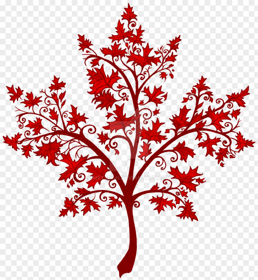 Maple Tree Leaf Twig Canada Japanese PNG