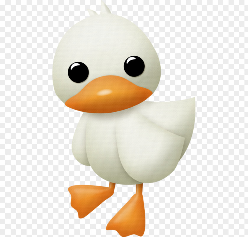 Rubber Ducky Animal Figure Duck Cartoon PNG