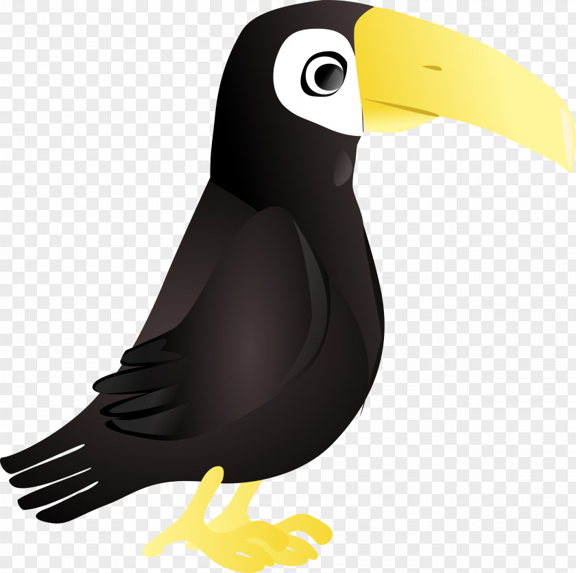 Safari Toucan Snake Clip Art PNG