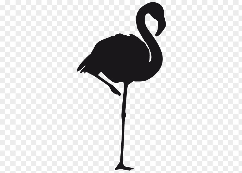 Bird Greater Flamingo Clip Art PNG