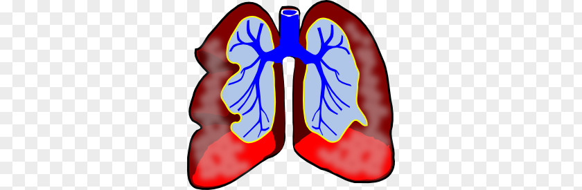 Diseases Cliparts Lung Clip Art PNG