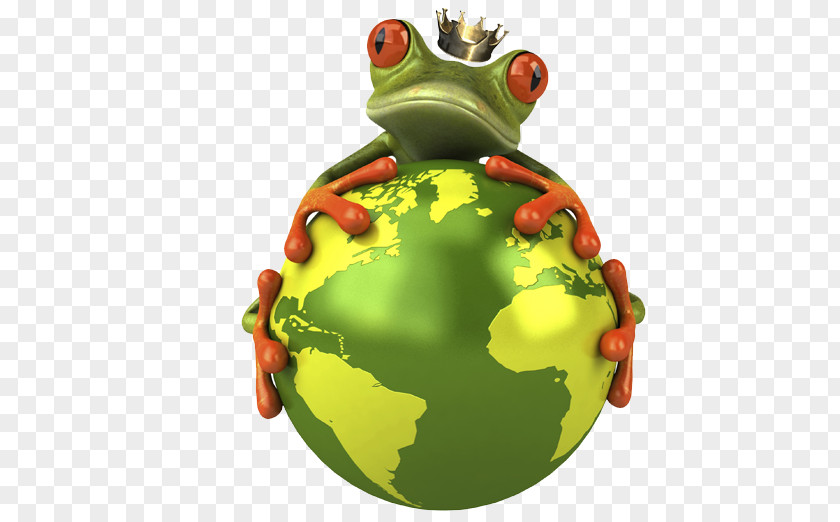 Frog Red-eyed Tree Clip Art PNG