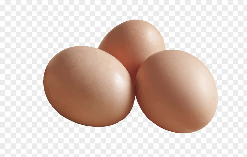 Hand-painted Eggs Vector Egg Brown PNG