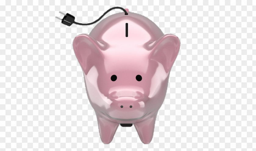 Pig Piggy Bank Snout PNG