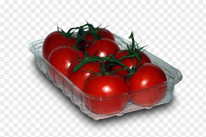 Plastic Polymer Plum Tomato Bush Natural Foods PNG