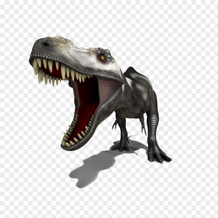 Bird Tyrannosaurus Dinosaur Horse Velociraptor PNG