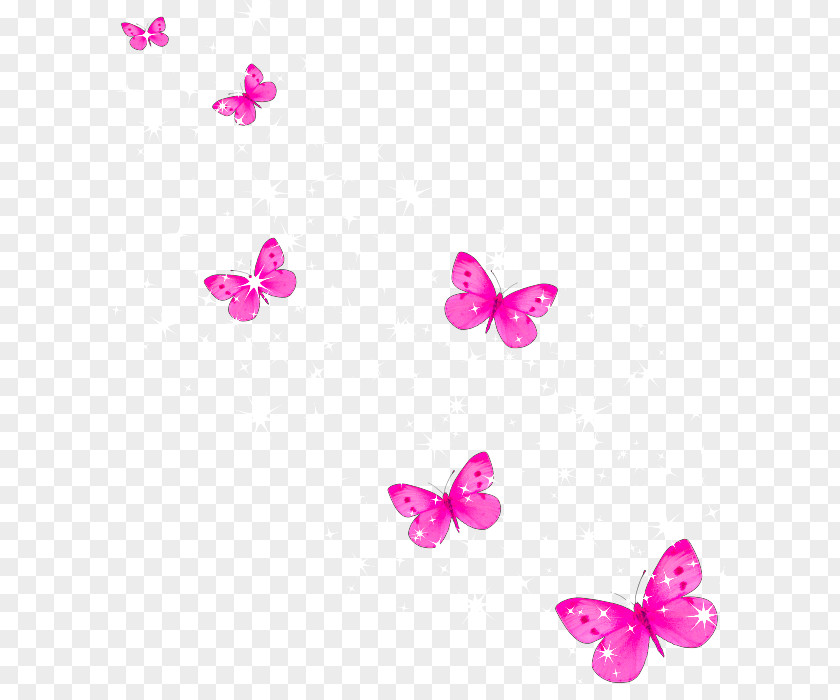 Butterfly Clip Art PNG