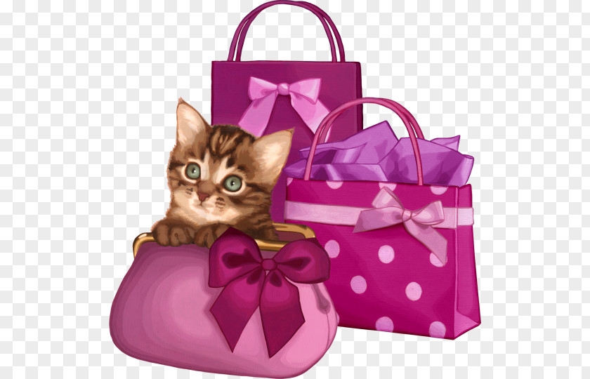 Cat Flowers Handbag Le Petit Cuisinier PNG