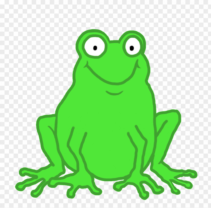 Frog Toad Drawing Cartoon Clip Art PNG