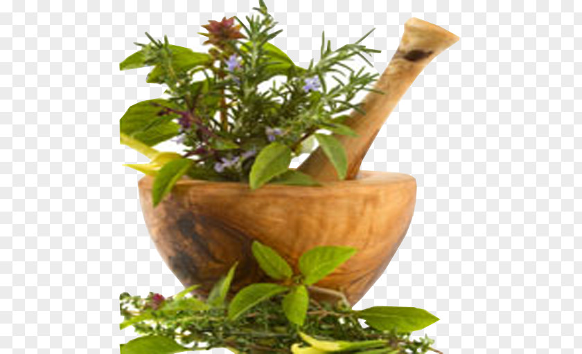 Health Herbalism Alternative Services Traditional Chinese Medicine PNG