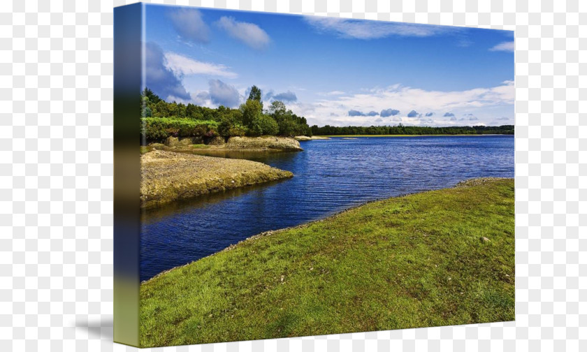 Lake Nature Reserve Water Resources Loch Wetland Inlet PNG