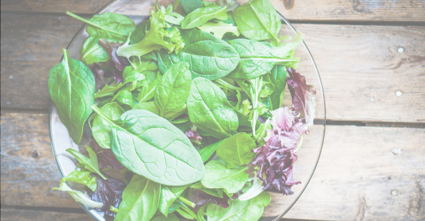Lettuce Leftovers Leaf Vegetable Salad Spinach PNG