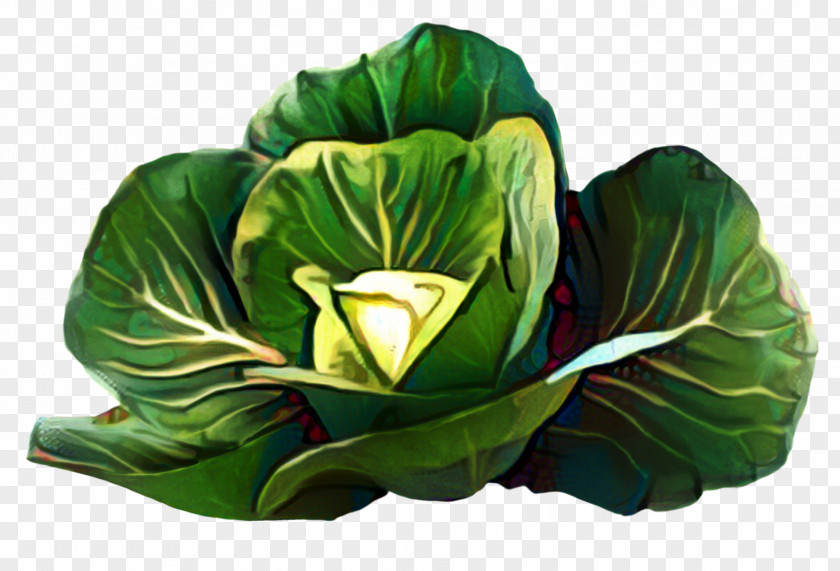 Petal Vegetable Green Leaf Background PNG
