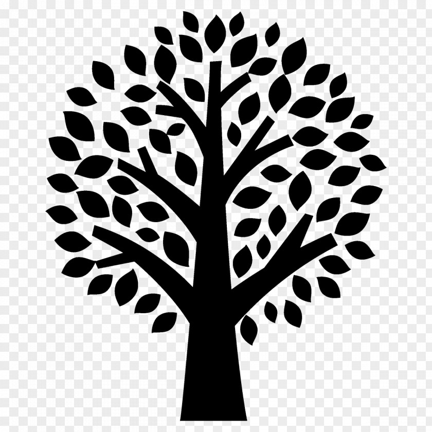 Plant Stem Stencil Leaf Tree Black-and-white Line PNG