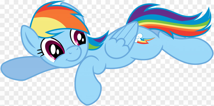 Rainbow Dash Pony Twilight Sparkle Fluttershy PNG