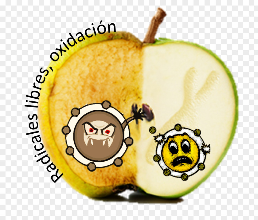 Apple Vegetarian Cuisine Food Radical Redox PNG