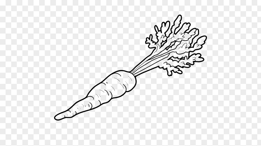 Carrot Coloring Book Creepy Carrots! Child Drawing PNG