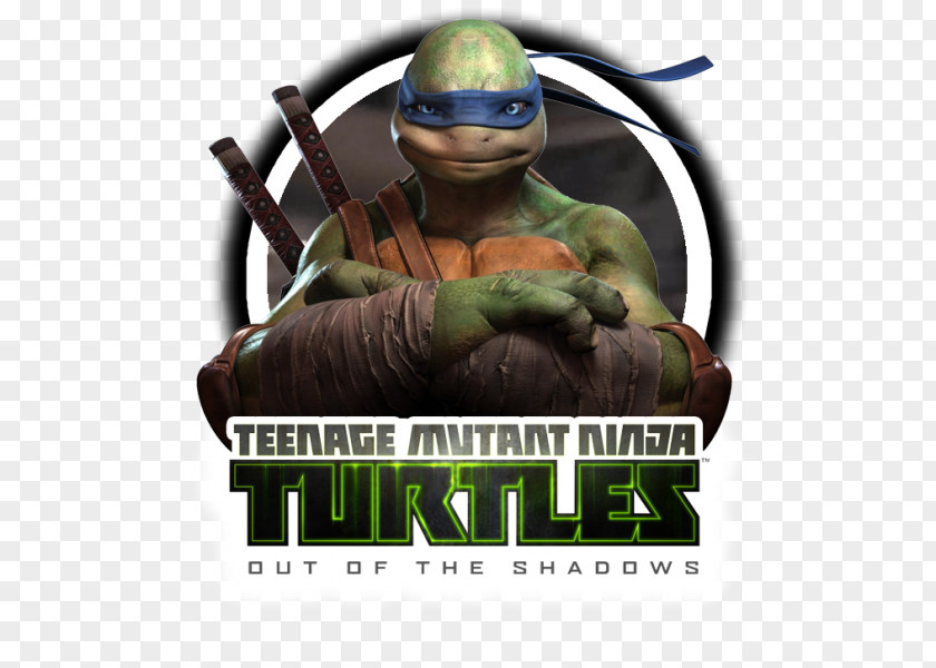 Ninja Turtles Teenage Mutant Leonardo Donatello Raphael Michelangelo PNG