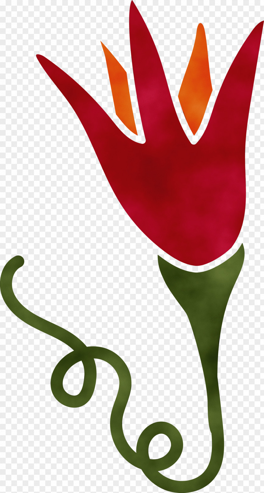 Plant Stem Tulip Leaf Petal Character PNG