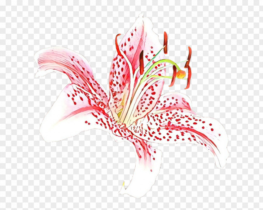 Stargazer Lily Flower Plant Pink Graphic Design PNG