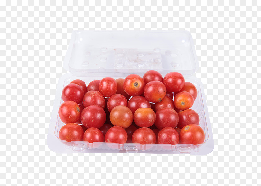 Vegetable Plum Tomato Bush Cherry Celebrity PNG