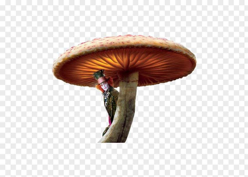 Alice In Wonderland Caterpillar Png Mushroom Alice's Adventures The Mad Hatter Red Queen PNG