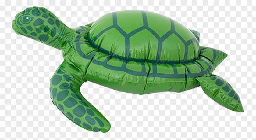 Big Turtle Skeleton Inflatable Sea Tortoise Hardware Pumps PNG