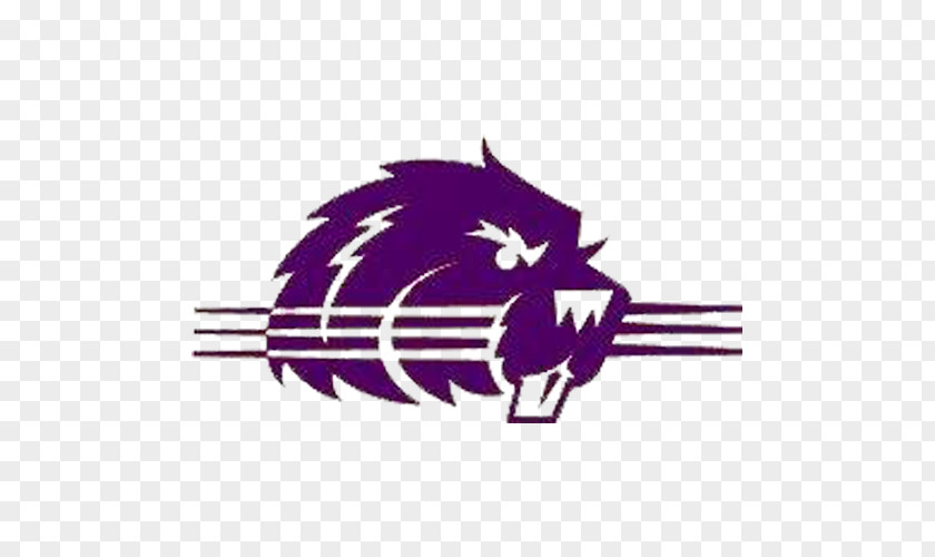 Bluffton University Beavers Football Transylvania Heartland Collegiate Athletic Conference PNG