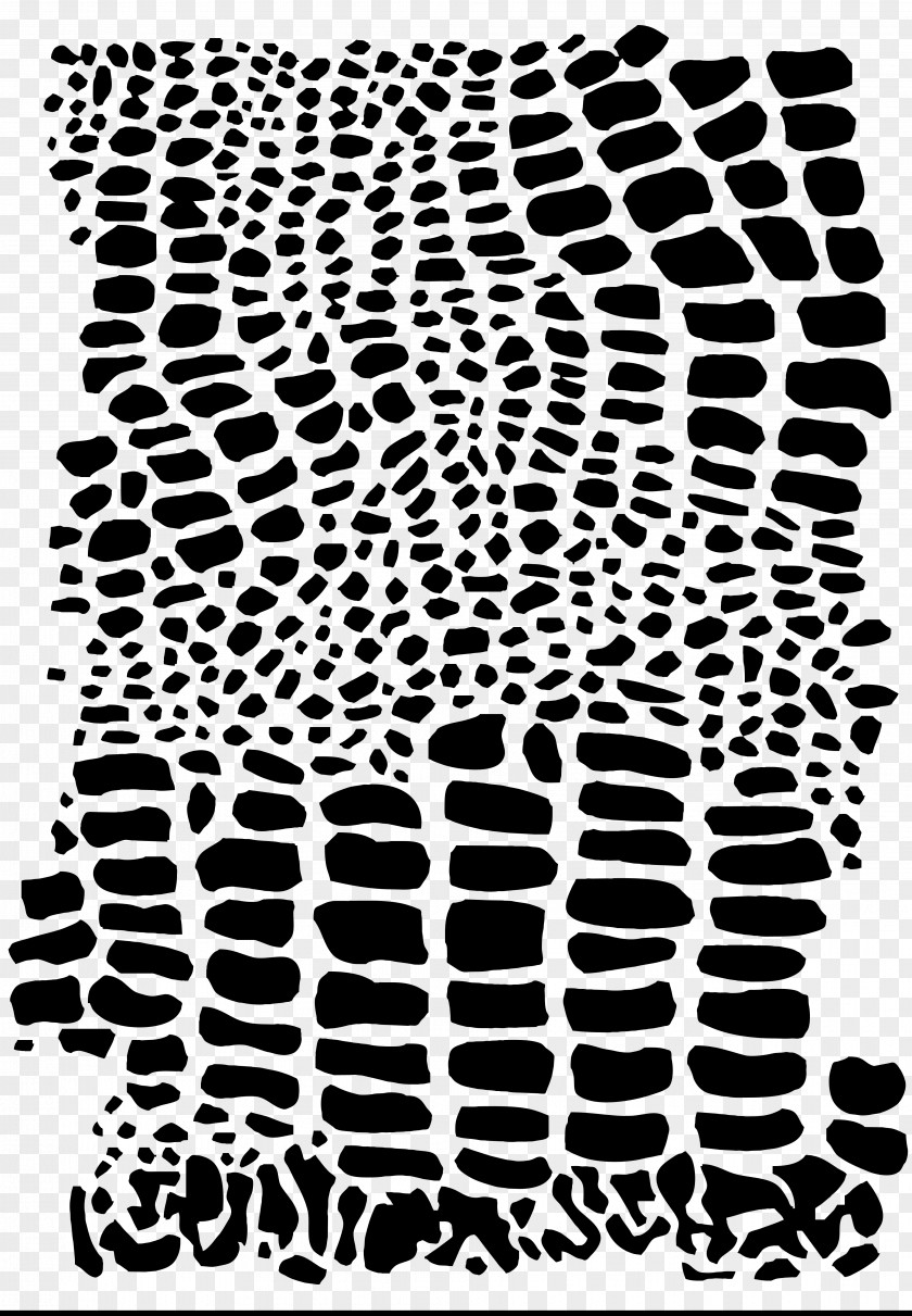 Carpet Tufting Stencil Computer Software Pattern PNG