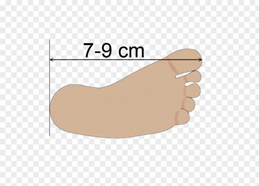 Feet SHOES Thumb Shoe Toe Finger PNG
