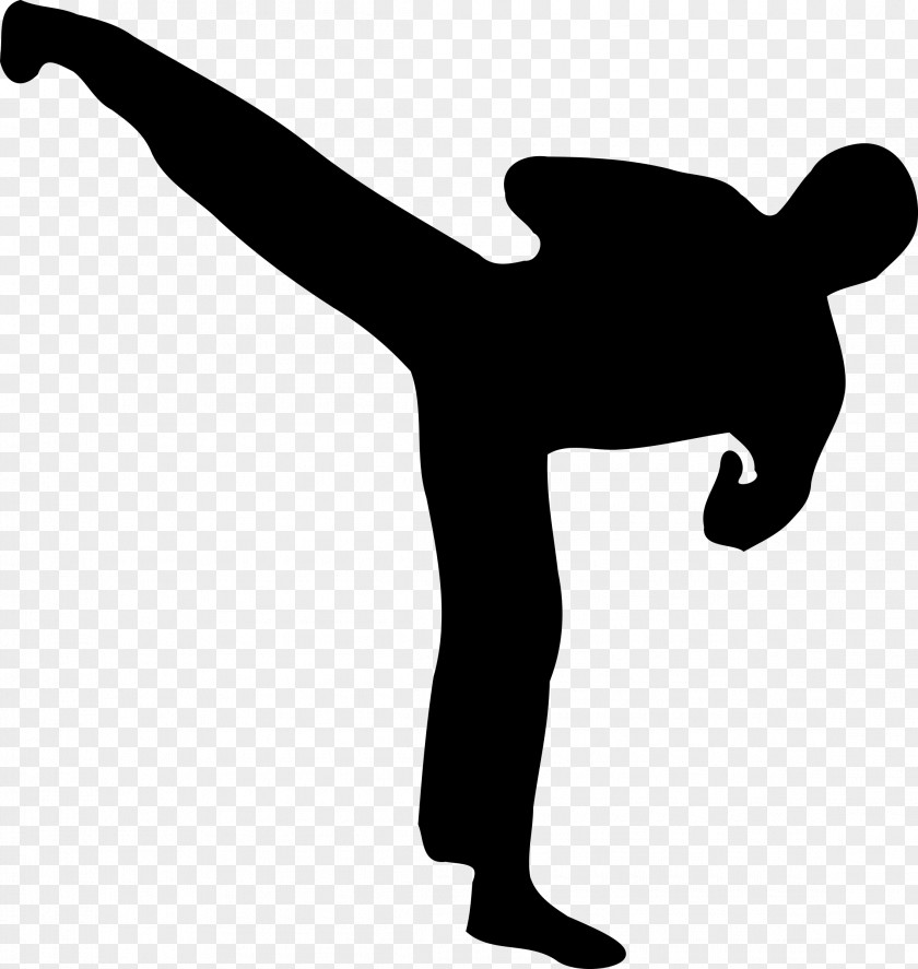 Fighting Kickboxing Silhouette Martial Arts Clip Art PNG