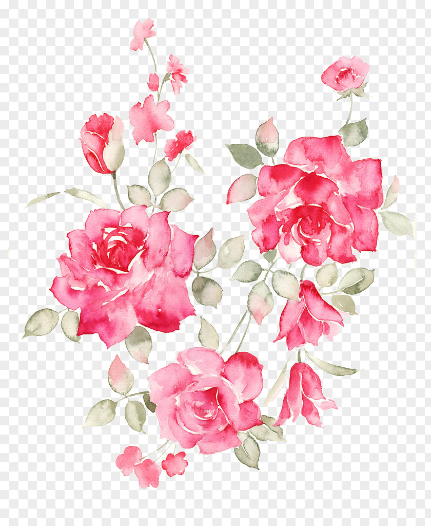 Flower Rose PNG