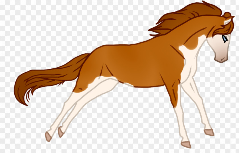 Kentucky Derby Foal Stallion Mane Colt Mustang PNG