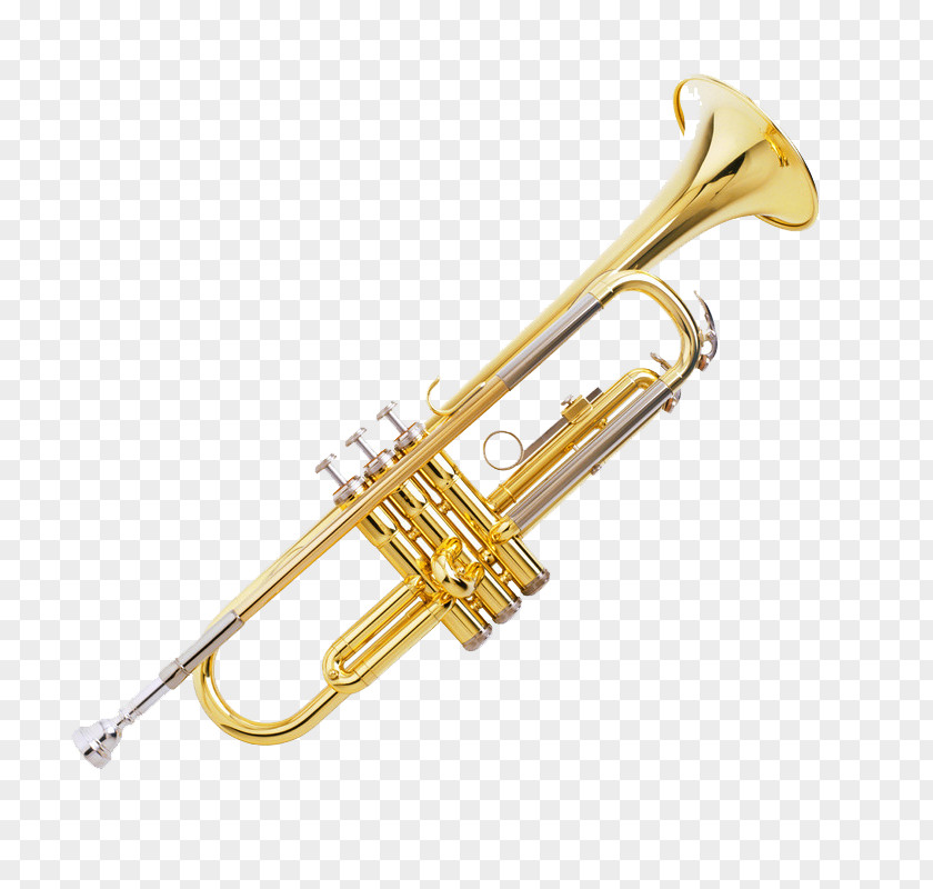 Metal Paint Trumpet Musical Instrument Brass Clarinet French Horn PNG