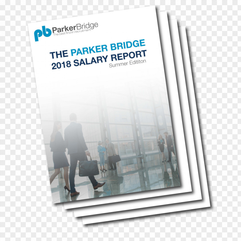 Survey Site Salary Recruitment Parker Bridge Employment Agency PNG